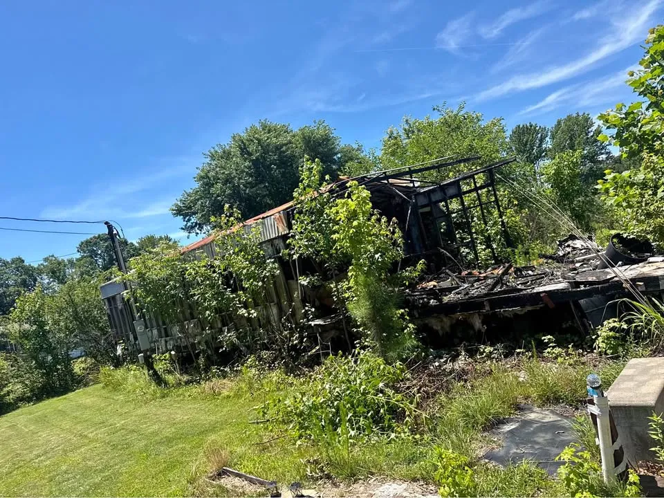 Small structure surrounded by vegetation before removal